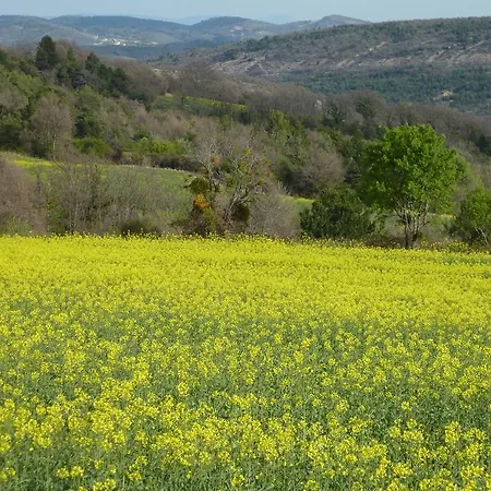 Hameau De Pichovet Vacheres